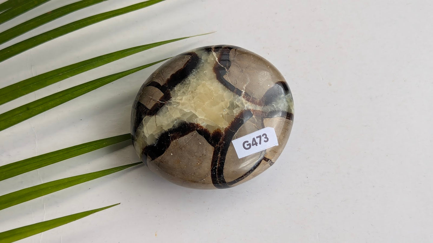 G473 Septaria galet