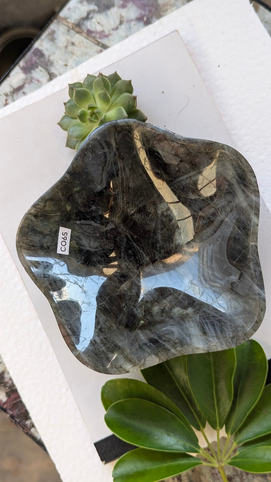 CO65 Labradorite Coupelle