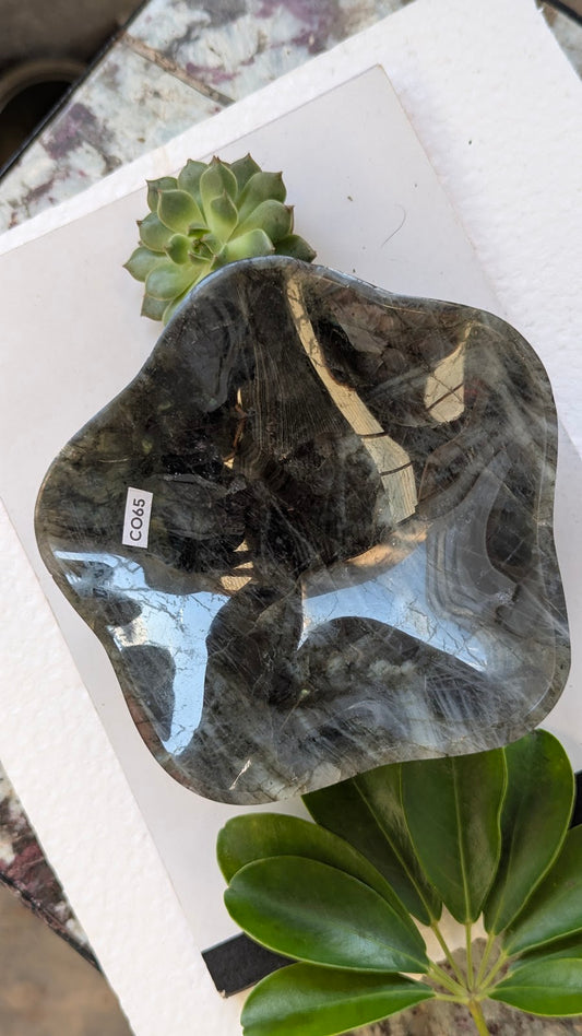 CO65 Labradorite Coupelle