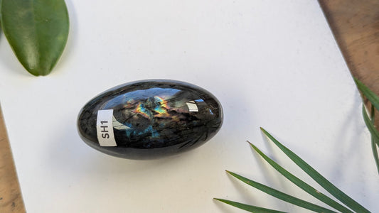 SH1 Labradorite shiva