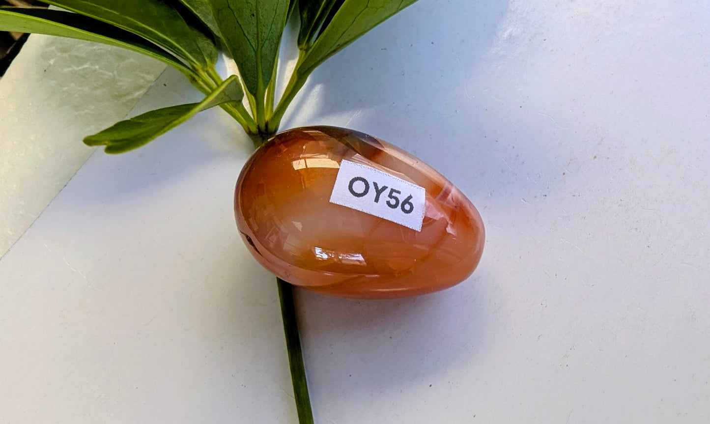 OY56 Cornaline Oeuf de Yoni