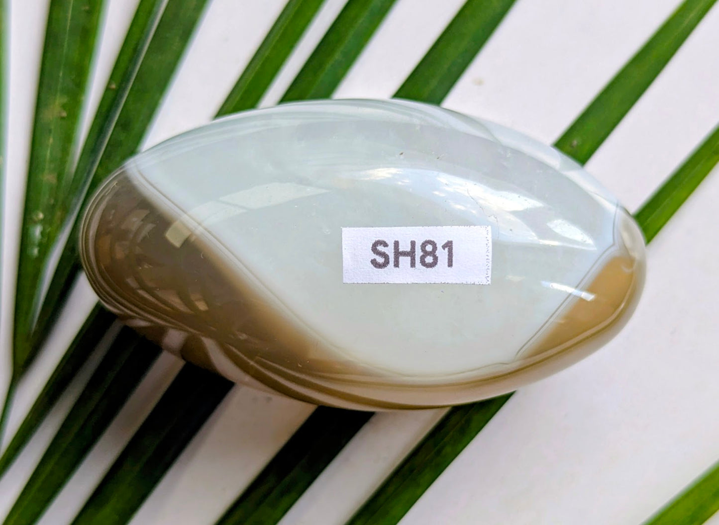 SH81 Agate shiva