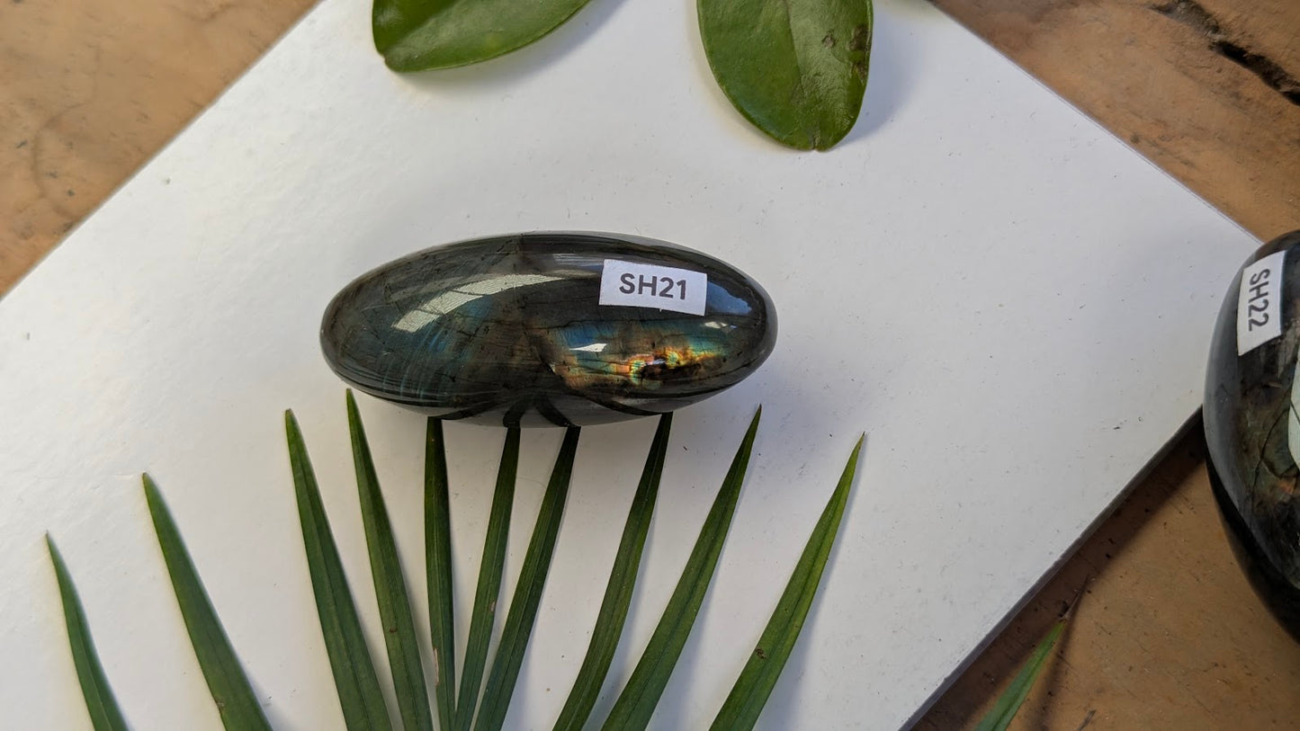 SH21 Labradorite shiva