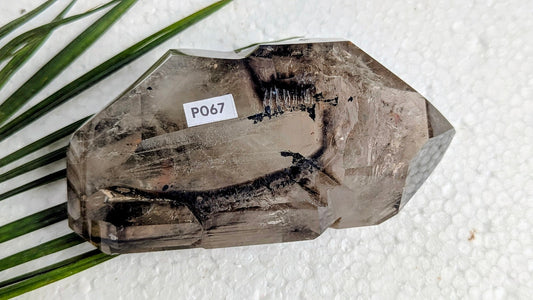 P067 Cirtine Prisme