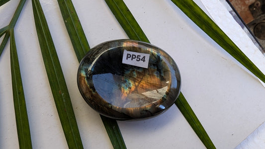 PP54 Labradorite Pierre de pouce