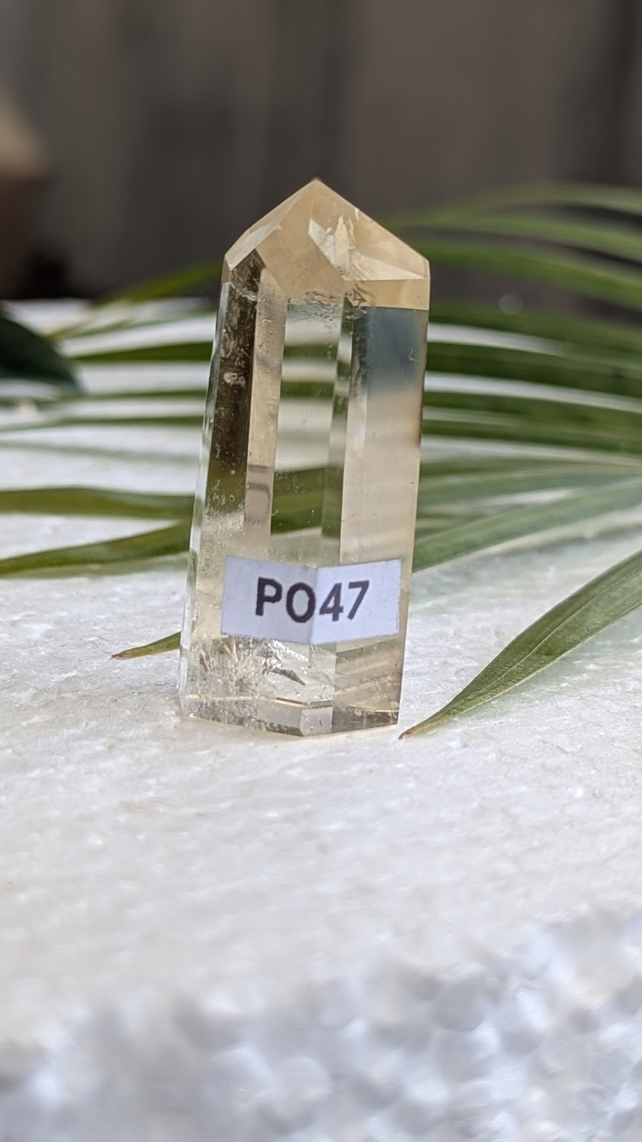 PO47 Cirtine Prisme