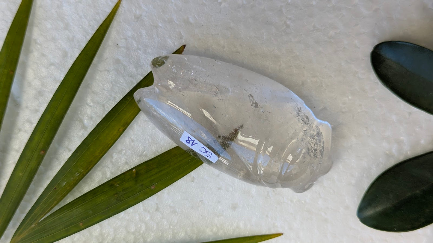 SC 18 Quartz blanc cigale
