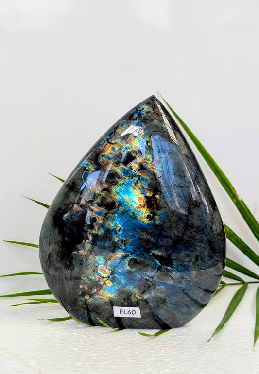 FL60 Labradorite Forme libre