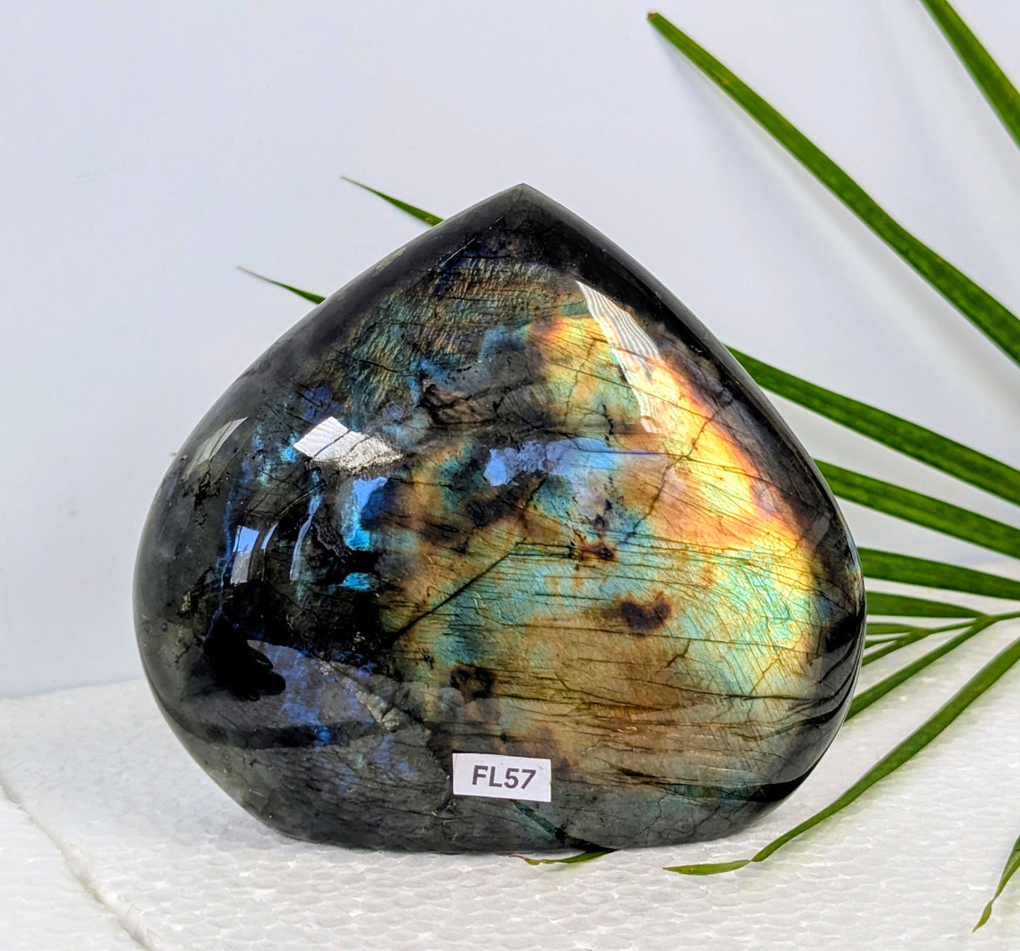 FL57 Labradorite Forme libre