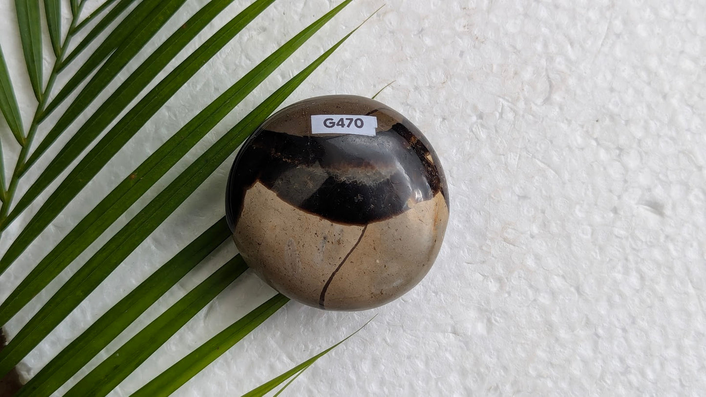 G470 Septaria galet