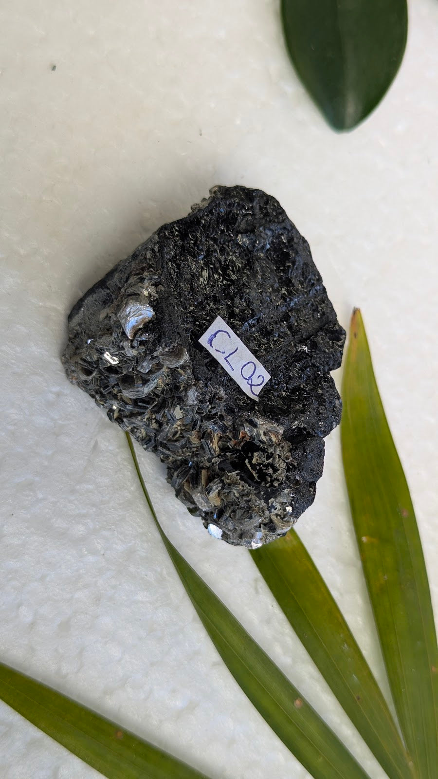 CL02 Tourmaline noire collection