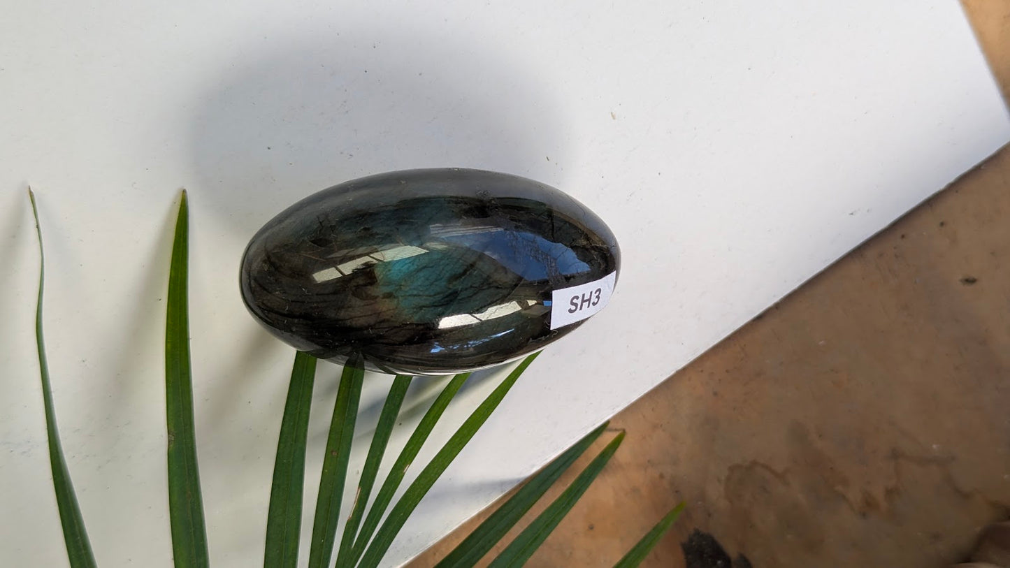 SH3 Labradorite shiva