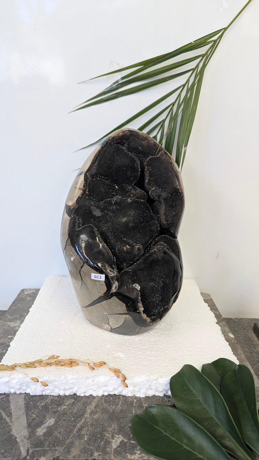 SC3 Buffle en quartz hematoide Sculpture