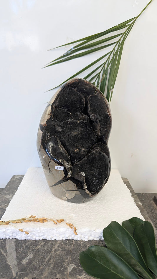 SC3 Buffle en quartz hematoide Sculpture