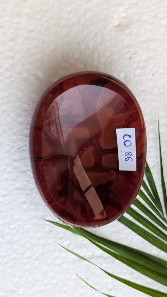CO 86 Cornaline Coupelle