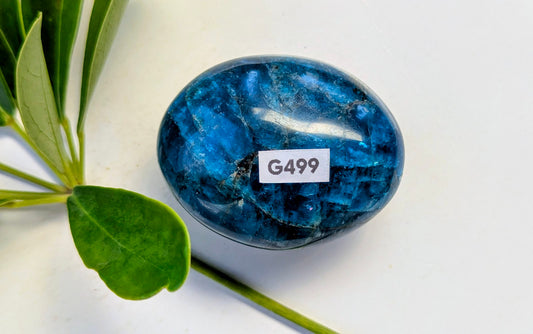 G499 Apatite Galet