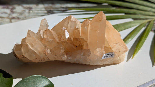 GC16 Cristal de roche collection
