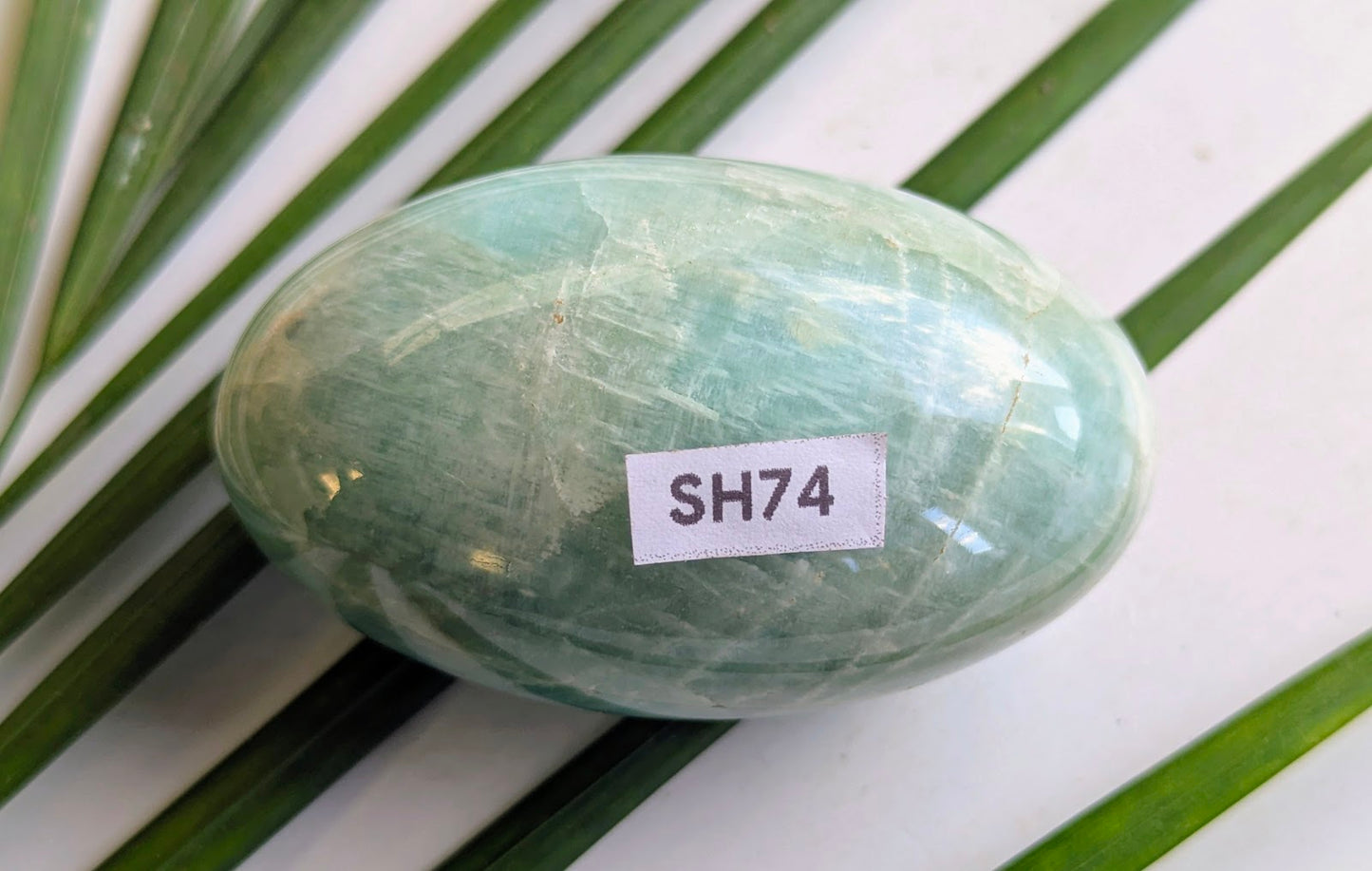 SH74 Amazonite shiva