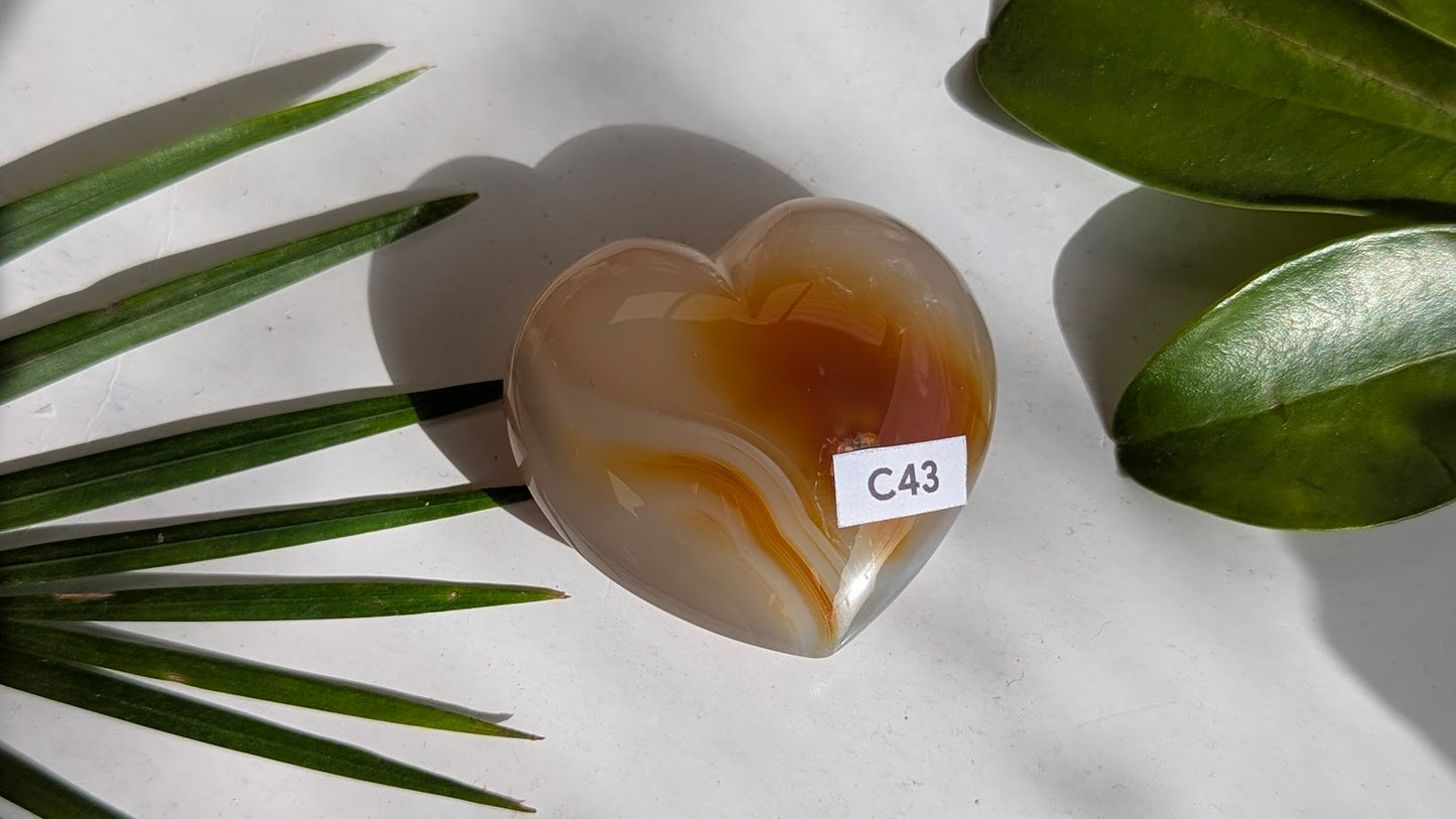C43 Agate Coeur