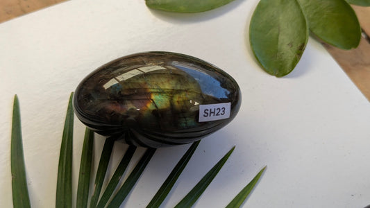 SH23 Labradorite shiva