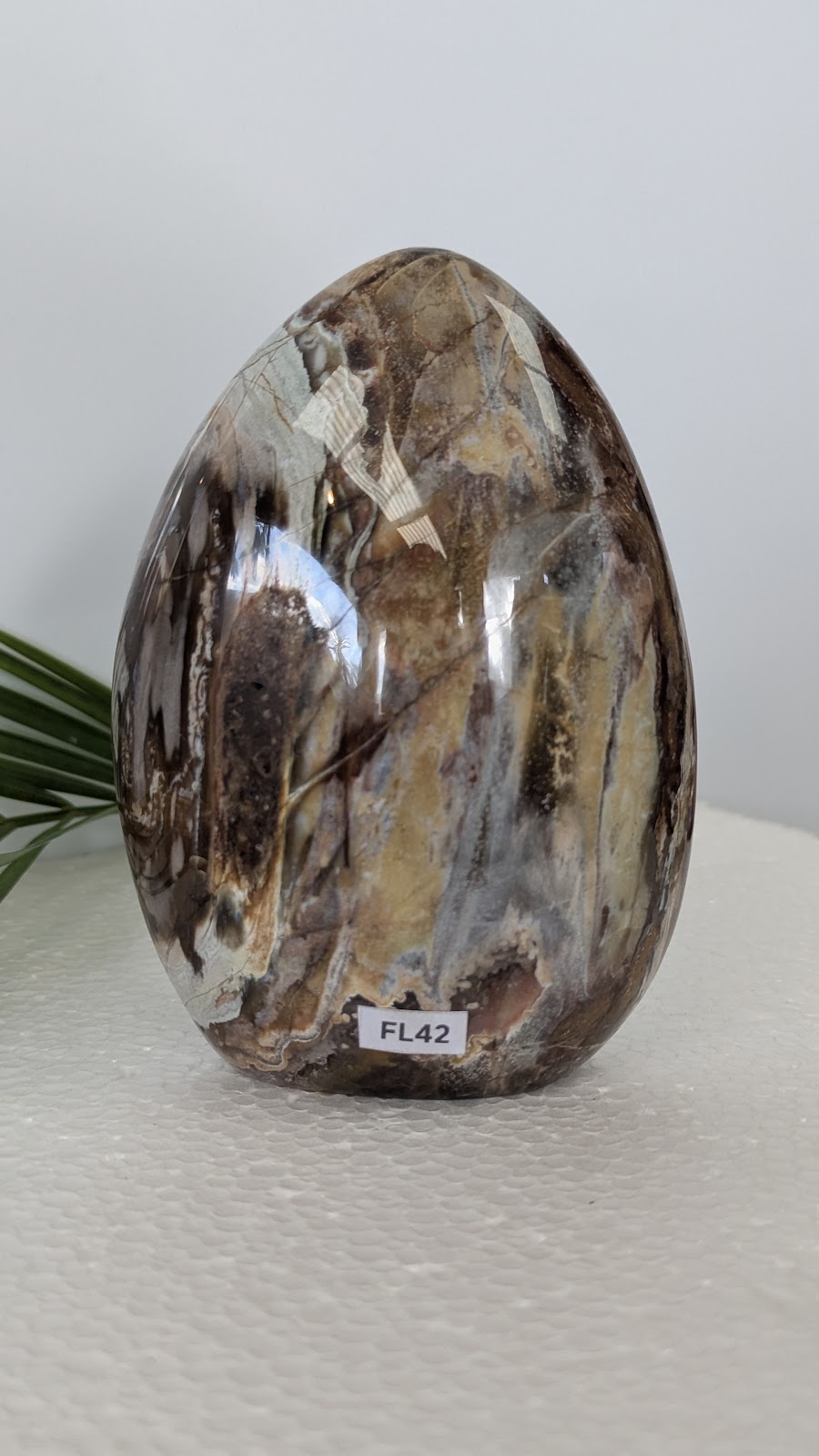 FL42 Bois fossilisé Forme libre