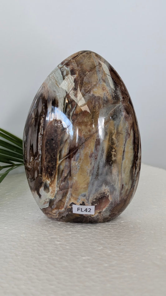 FL42 Bois fossilisé Forme libre