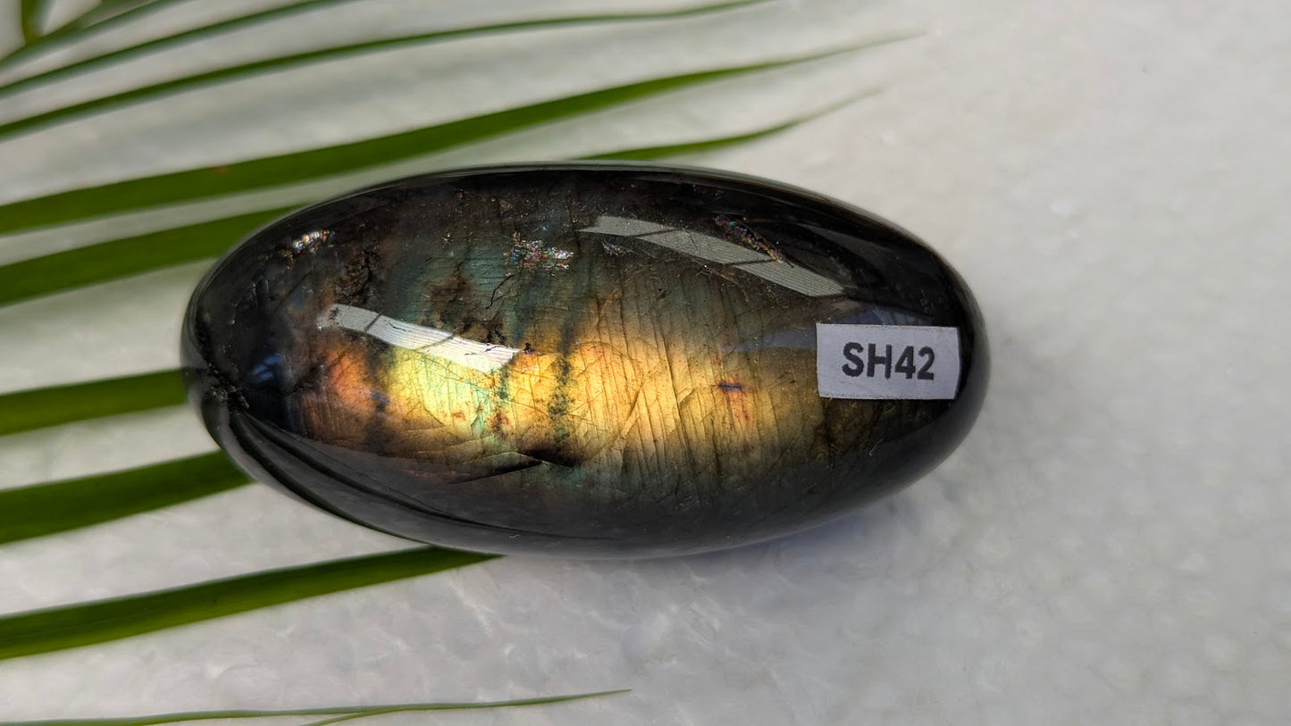 SH42 Labradorite shiva