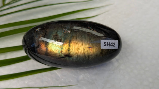 SH42 Labradorite shiva