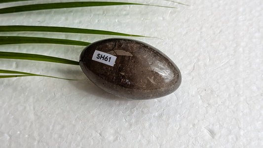 SH61 Quartz fumé shiva