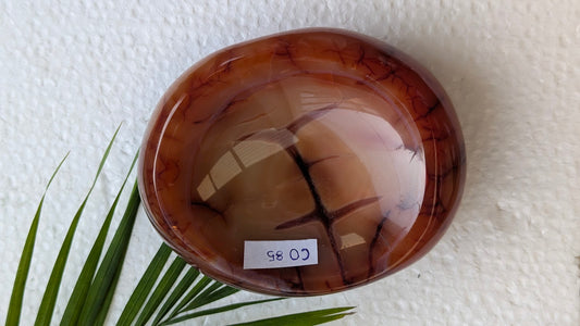 CO 85 Cornaline Coupelle