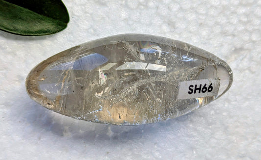 SH66 Citrine shiva