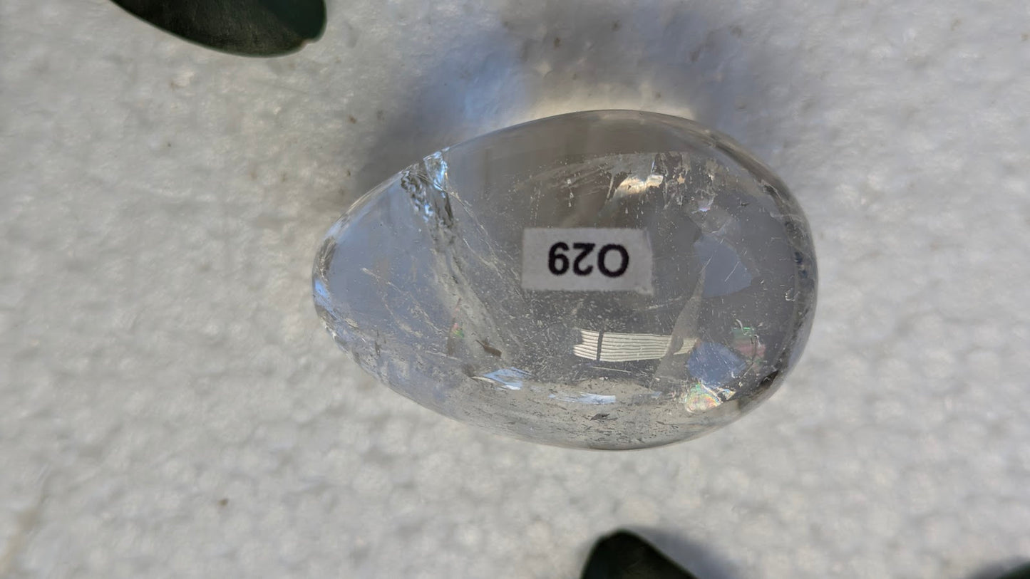 O29 Citrine Oeuf