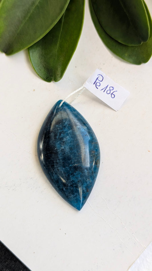 Pe186 Apatite bleue Pendentif