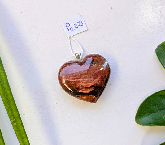 Pe 229 Agate fougère pendentif