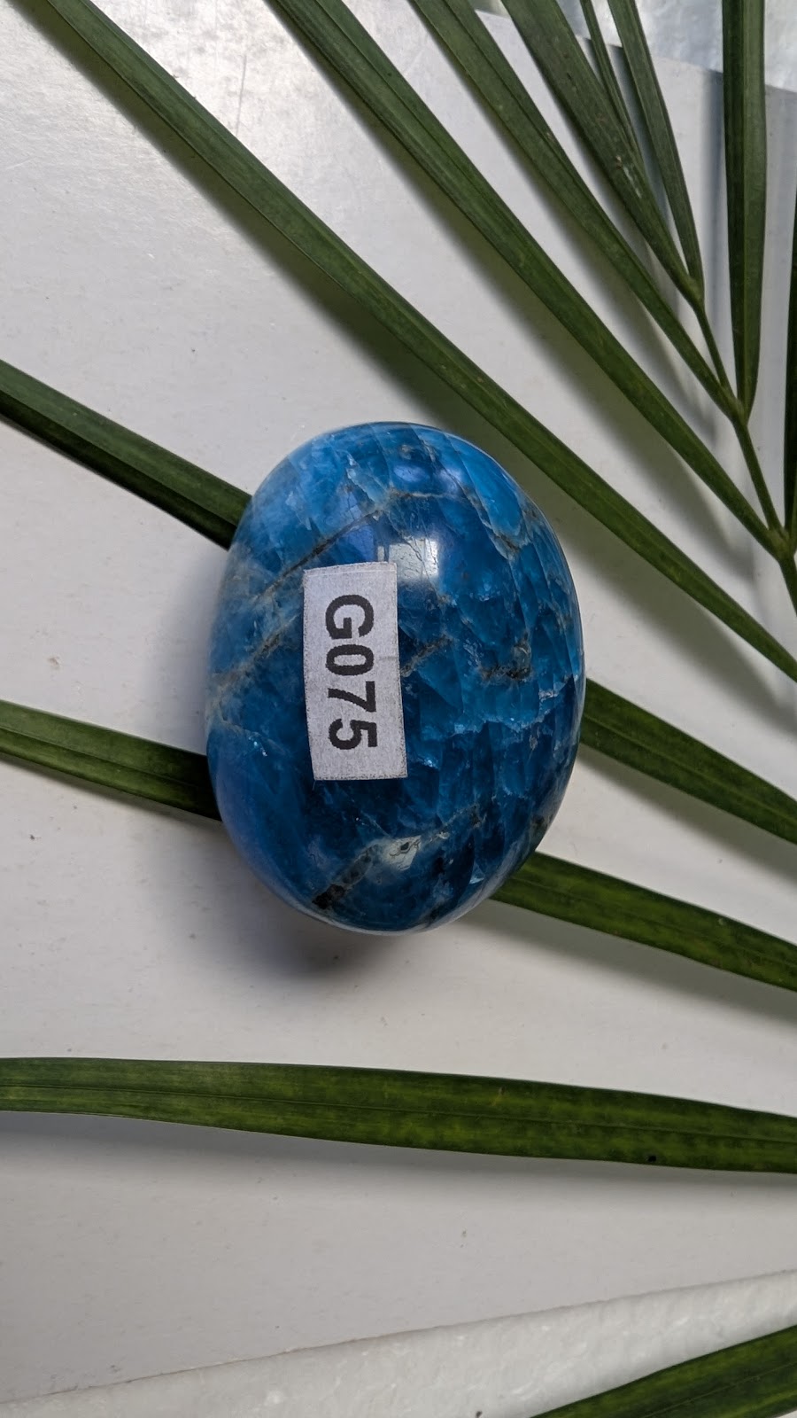G075 Apatite Galet