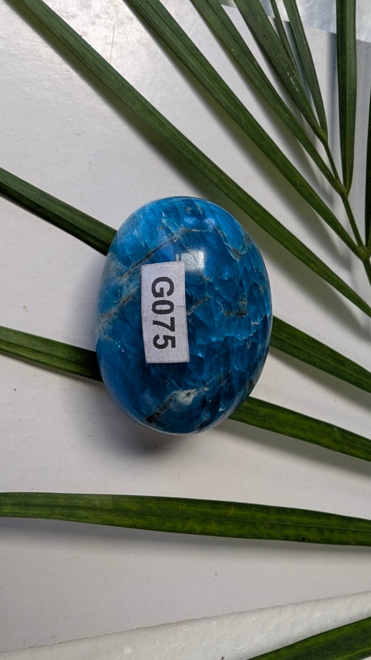 G075 Apatite Galet