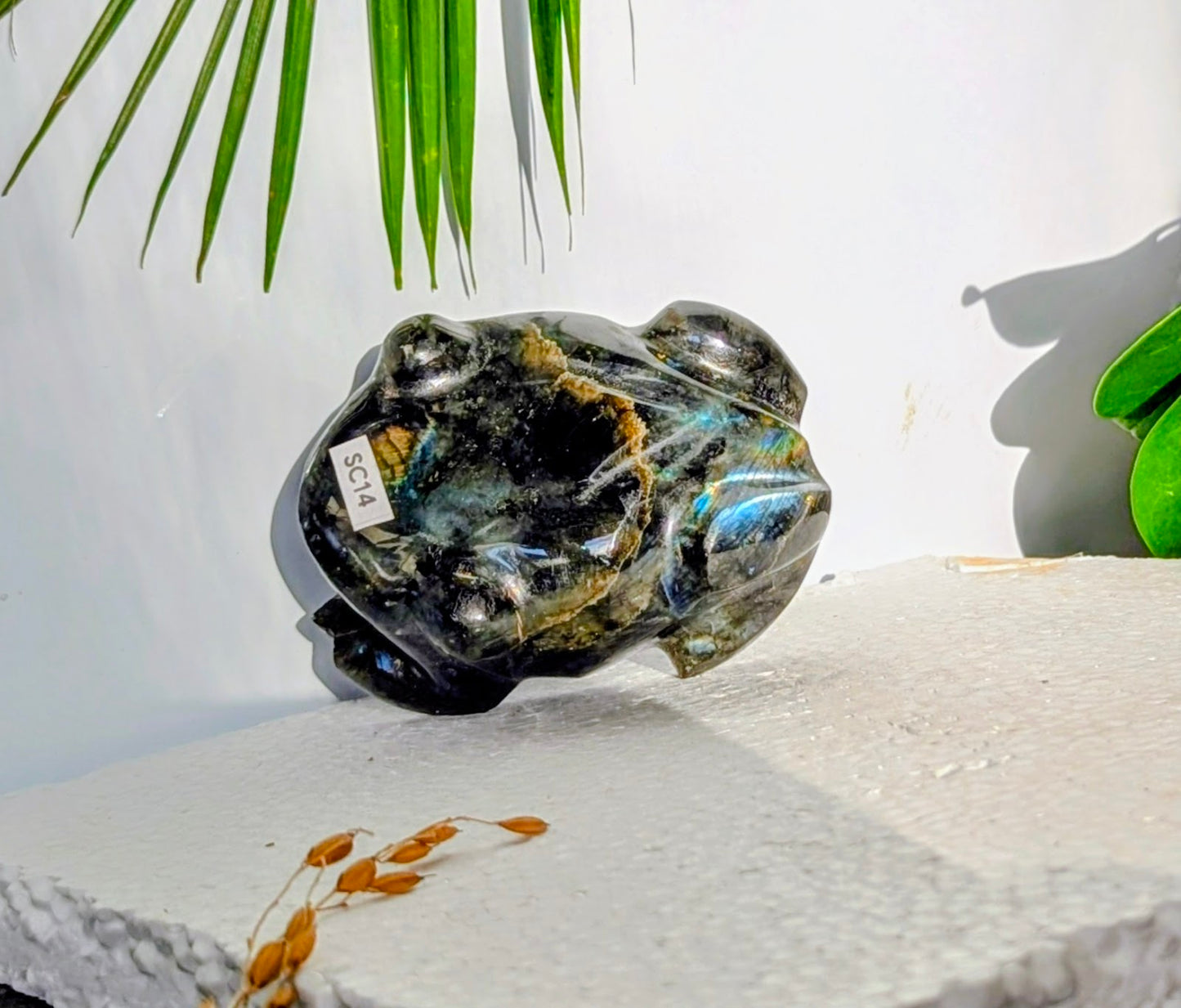 SC14 Grenouille labradorite Sculpture
