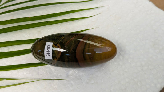 SH40 jaspe shiva