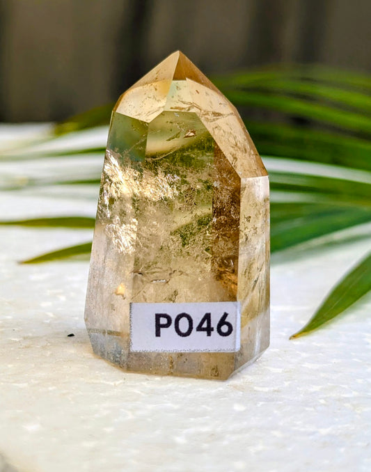 PO46 Cirtine Prisme