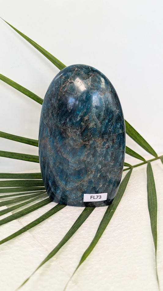 FL73 Apatite Forme libre