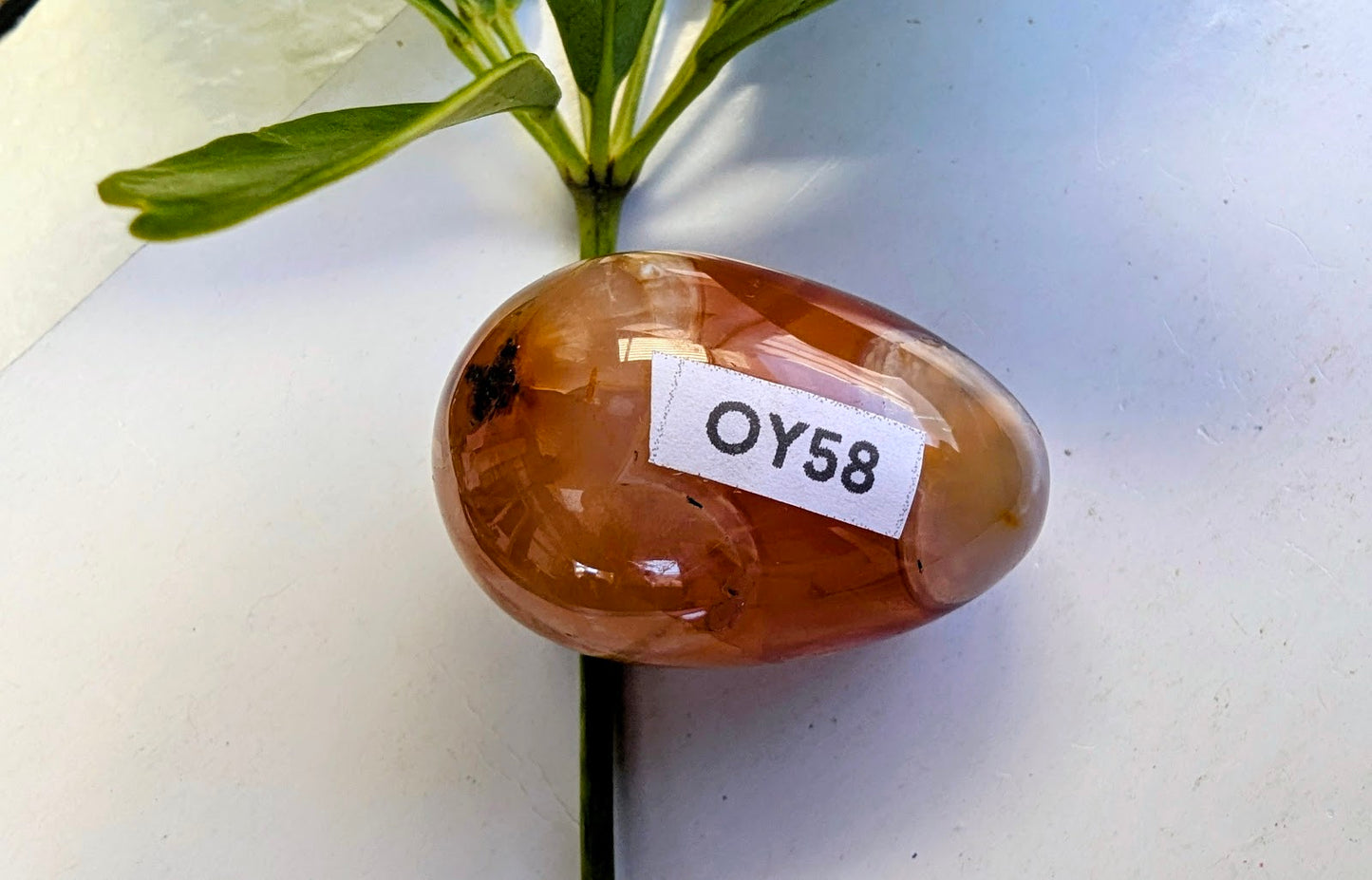 OY58 Cornaline Oeuf de Yoni