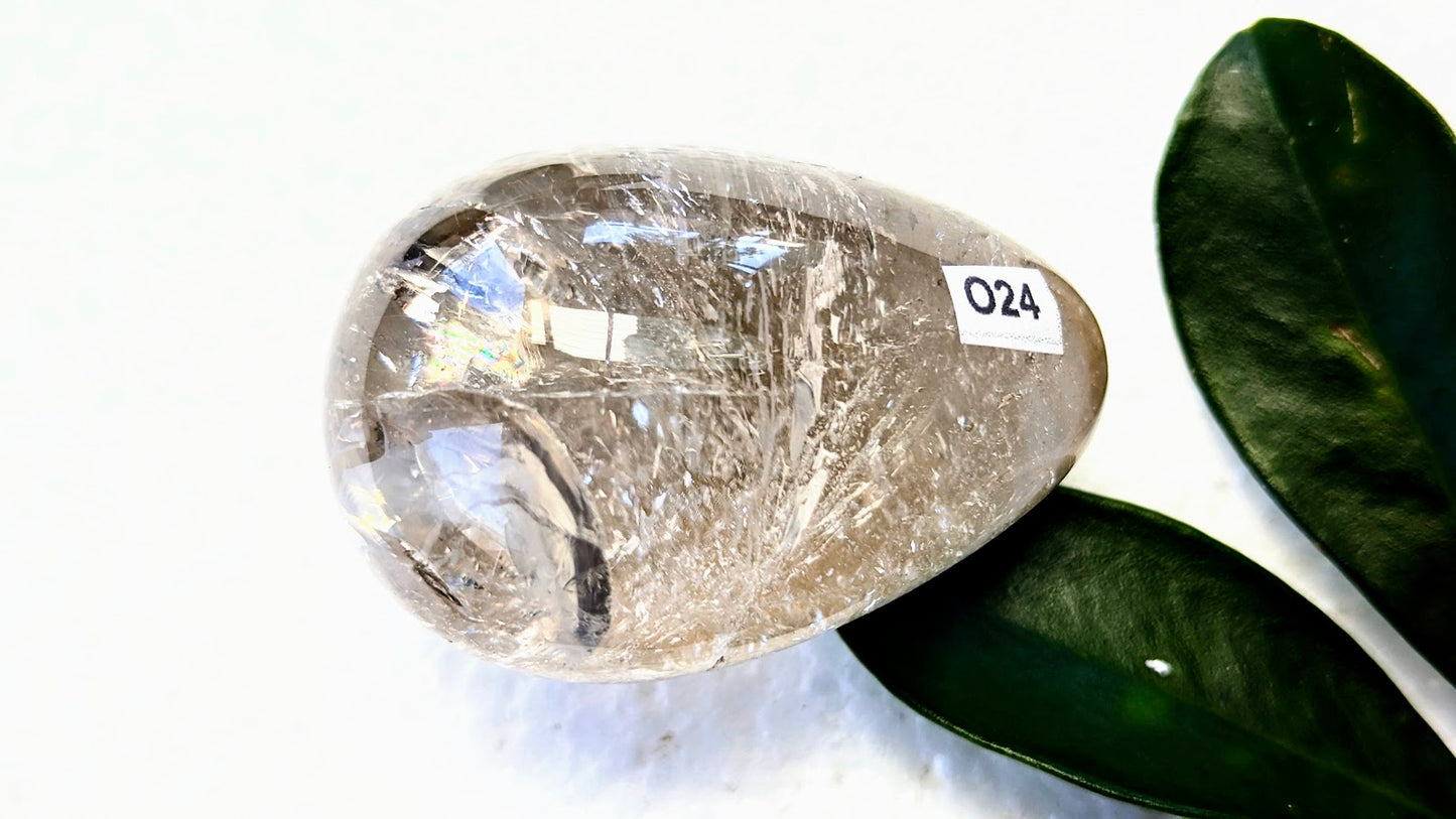 O24 Citrine Oeuf