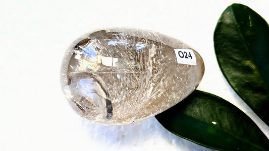 O24 Citrine Oeuf