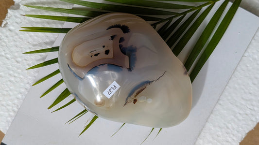 FL37 Agate dendritique Forme libre