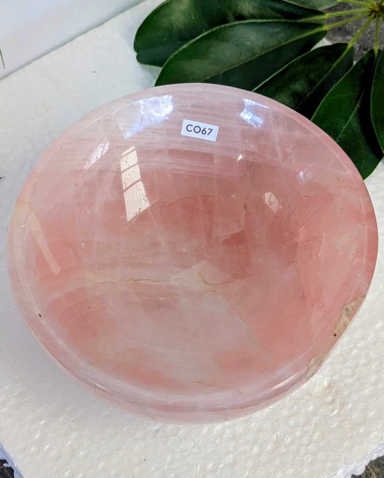 CO67 Quartz-Rose Coupelle