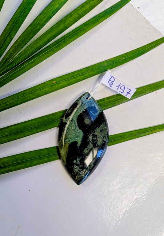 Pe 197 Jaspe kambamba pendentif