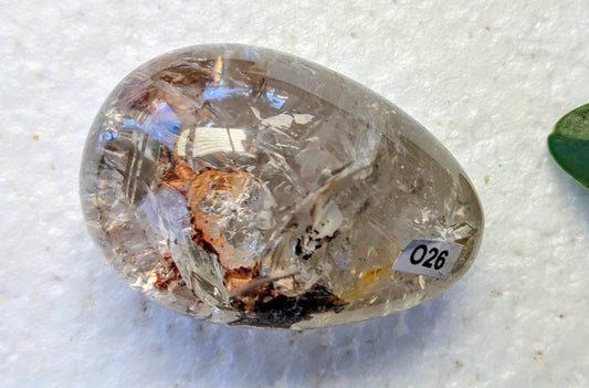 O26 Citrine Oeuf