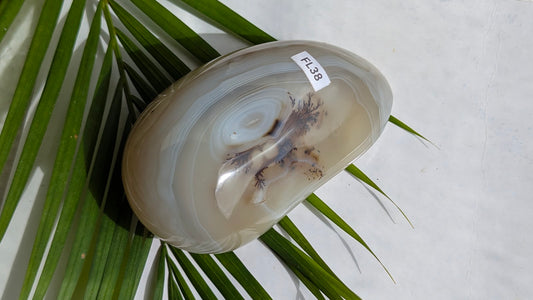 FL38 Agate dendritique Forme libre