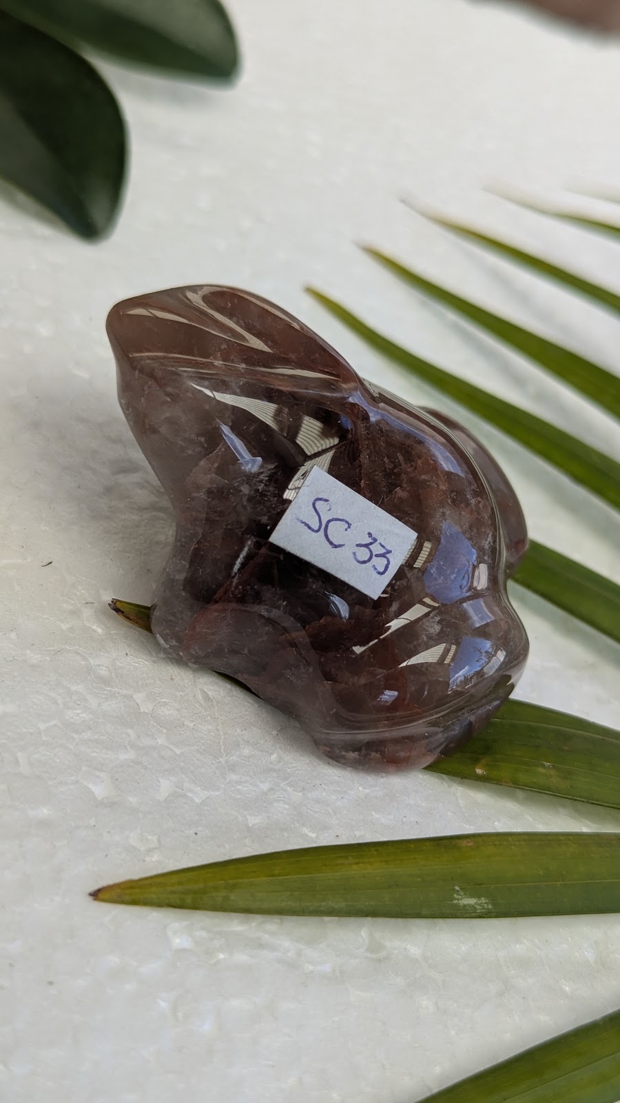 SC33 Hematoide grenouille