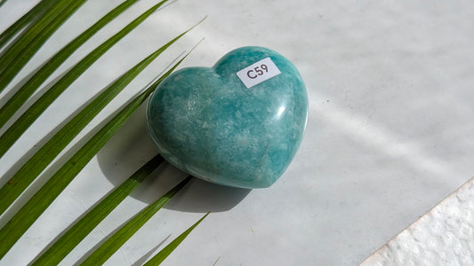 C59 Septaria Coeur